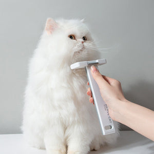Floating Hair Removal Pet Grooming Brush: The Ultimate Solution for Pet Owners