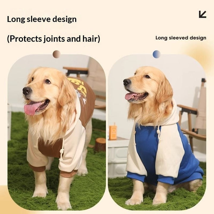 Enhance Your Border Collie's Wardrobe with Our Large Pet Sweater