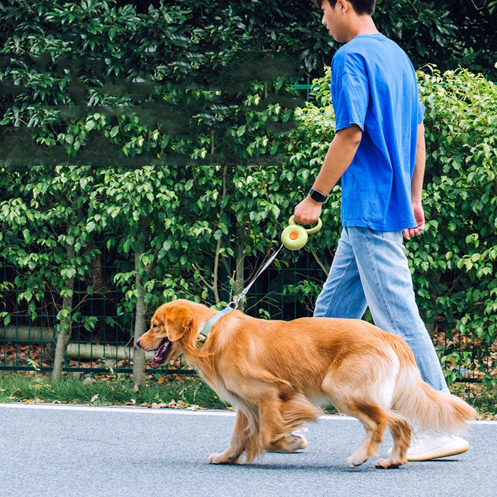 Retractable Pet Leash With Reflective Rope