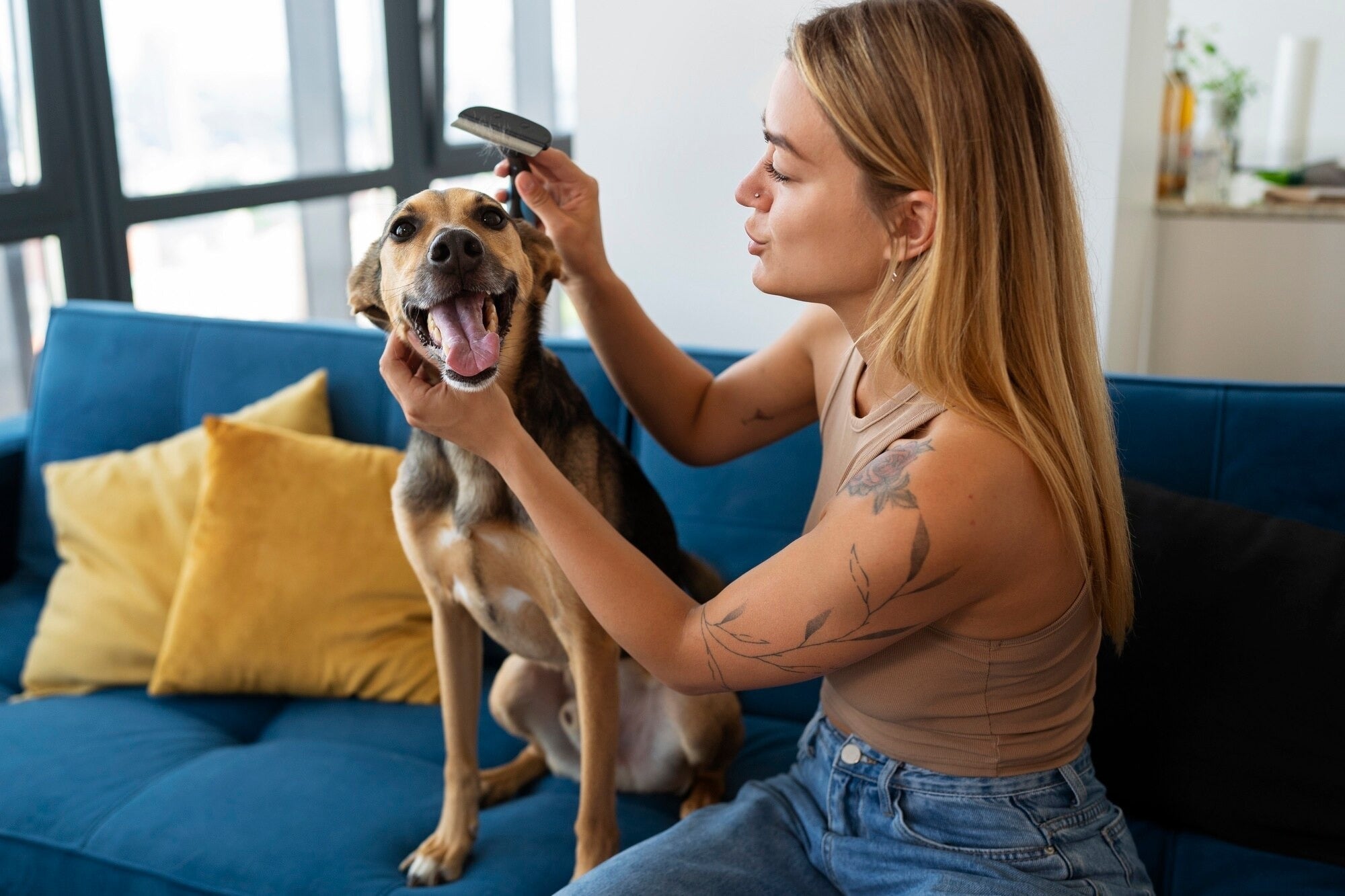 Essential Grooming Tools For Happy Pets