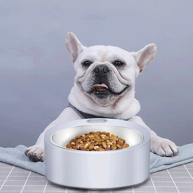 Large Capacity Stainless Steel Pet Bowl Detachable Weighing Feeder