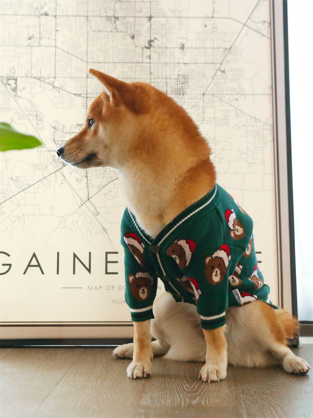 Festive Red New Year Pet Sweater