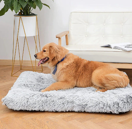 Plush Square Pet Bed Memory Foam Cozy Deep Sleep Sofa