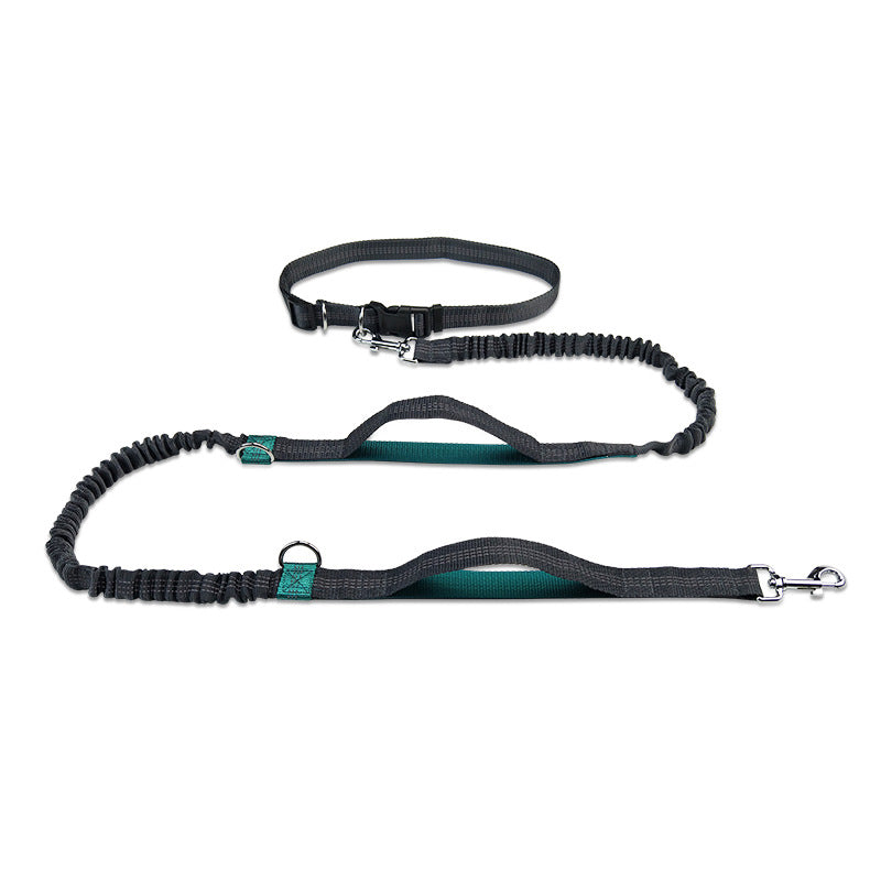 Multifunctional Reflective Double Telescopic Pet Leash Rope
