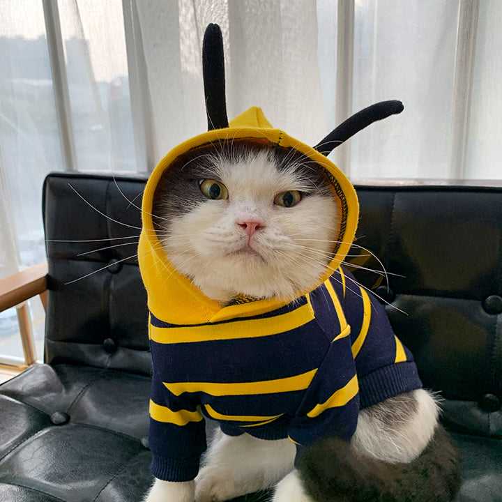 Winter Plush Pet Hoodie Cute Bee Costume Jacket