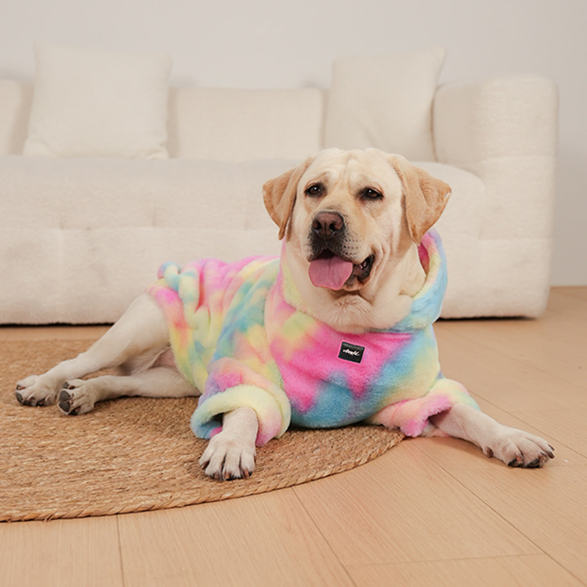 Tie-Dyed Rainbow Color Pet Pattern Sweater