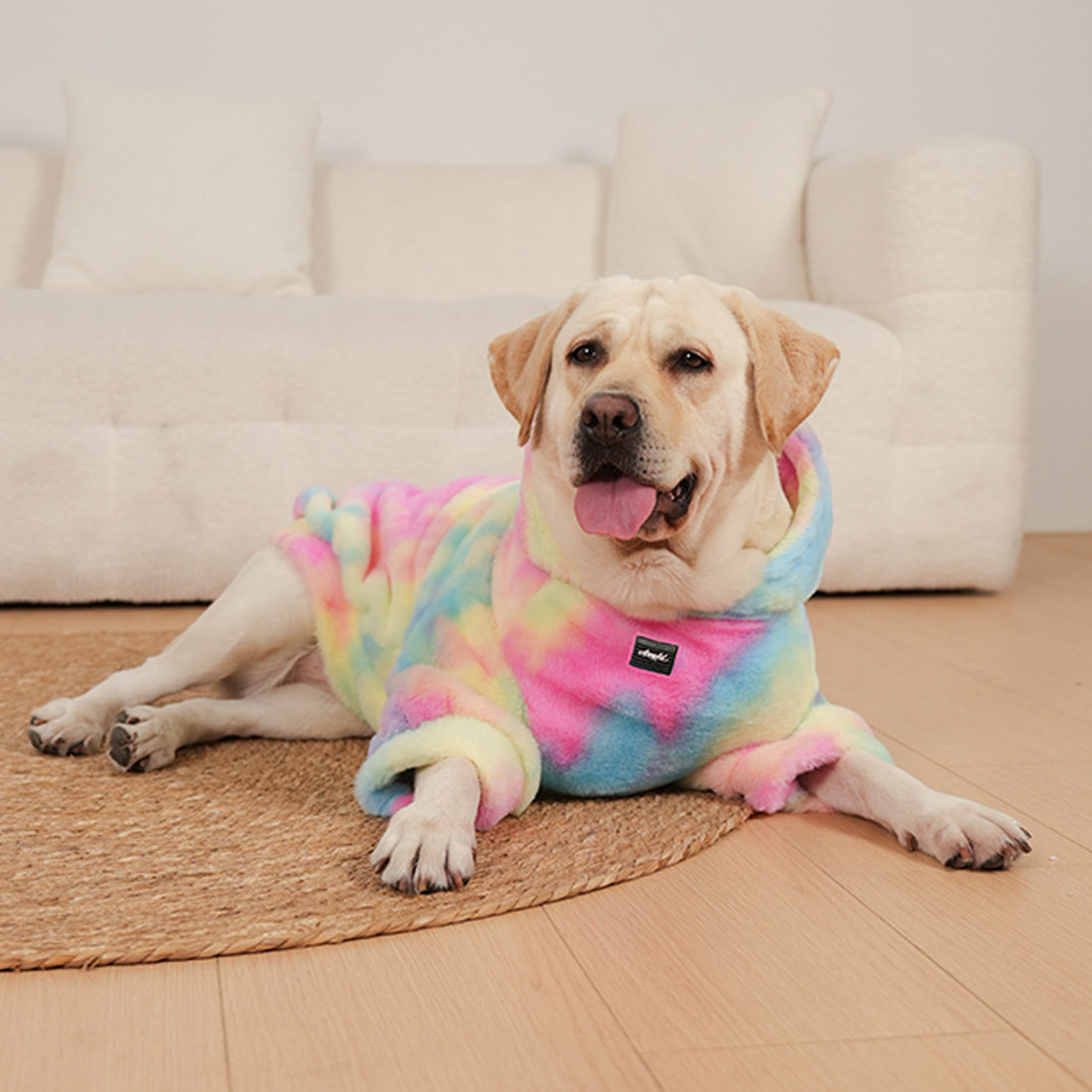Tie-Dyed Rainbow Color Pet Pattern Sweater