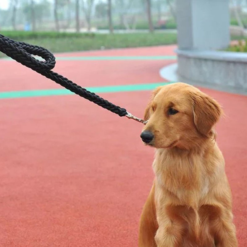 Eight-Strand Braided Pet Leash for Walking Large Dogs