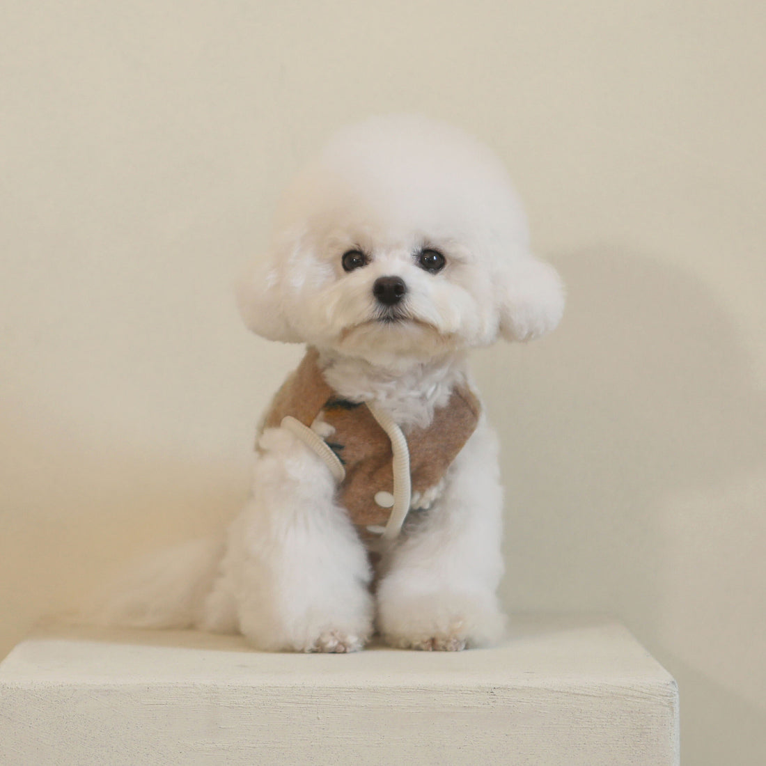 Warm Woolen Flower Vest Pet Sweater