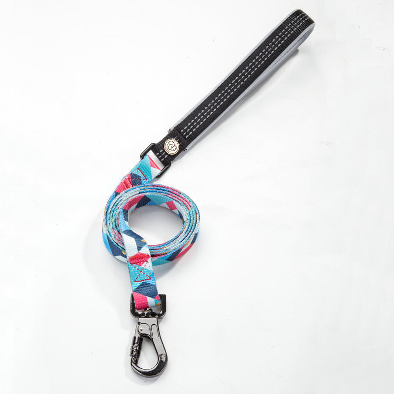 Durable Pet Leash for Walking and Training