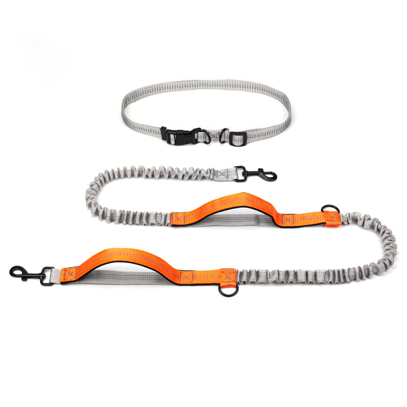 Outdoor Running Pet Leash