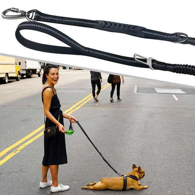 Car Traction Pet Leash for Safe Walking and Outdoors
