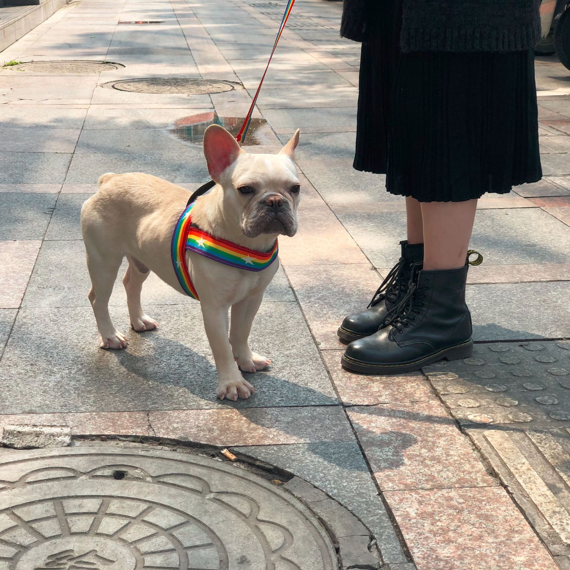 Rainbow Color Pet Chain Leash for Walking