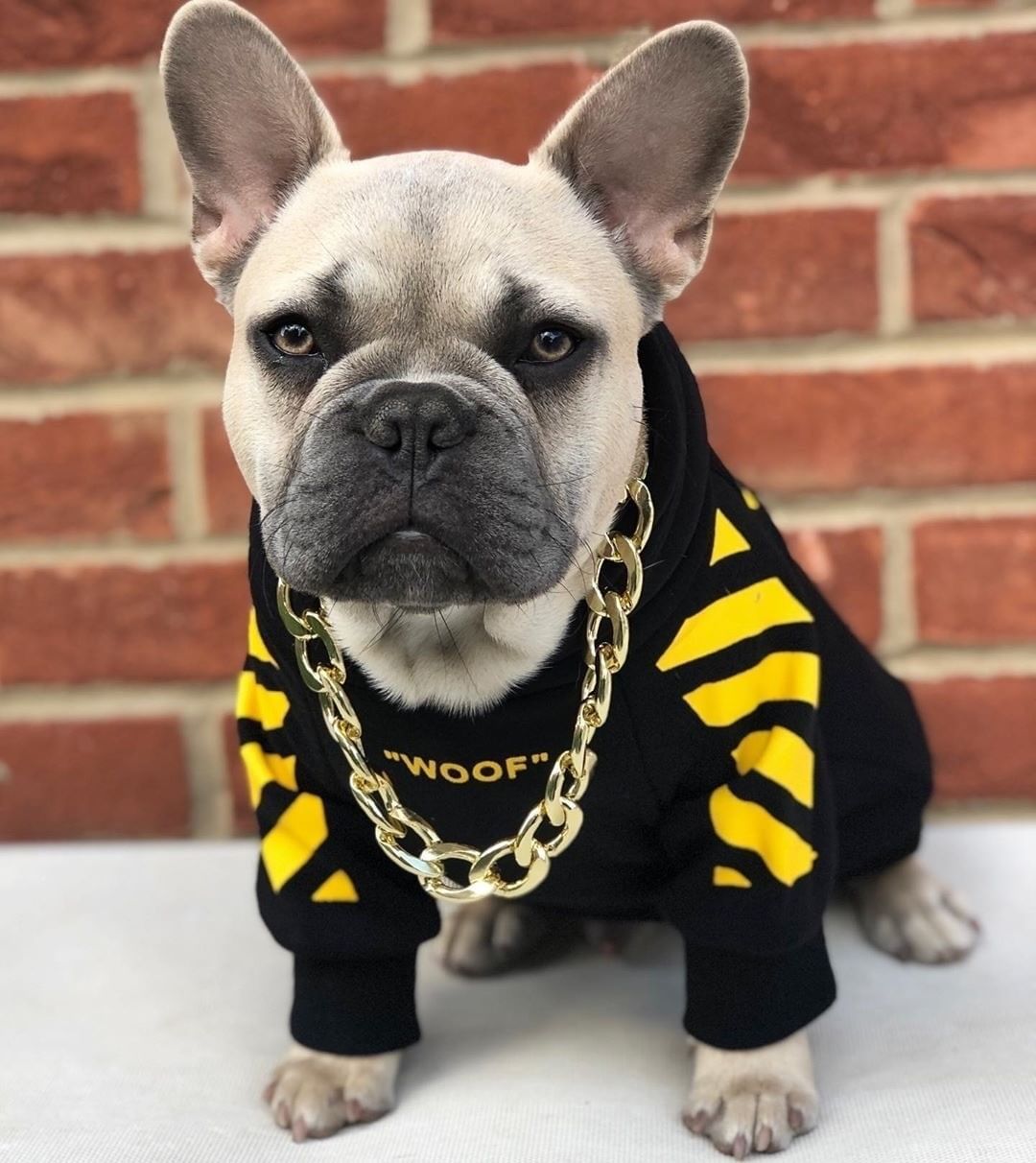 Autumn Winter Three-Stripe Pet Sports Sweater