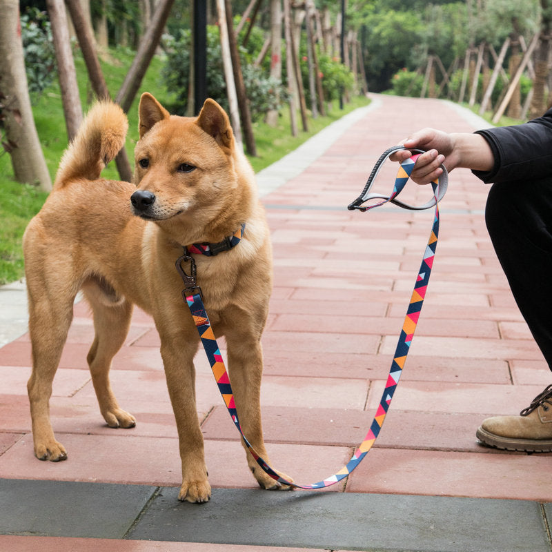 Durable Pet Leash for Walking and Training