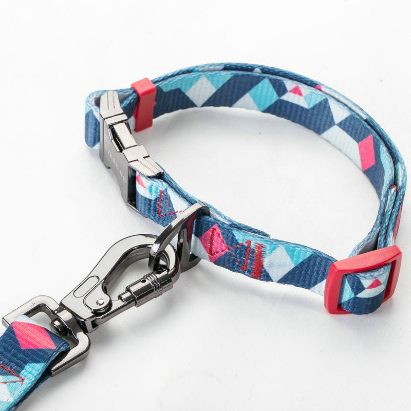 Durable Pet Leash for Walking and Training