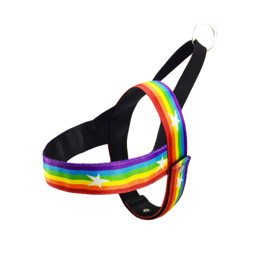 Rainbow Color Pet Chain Leash for Walking