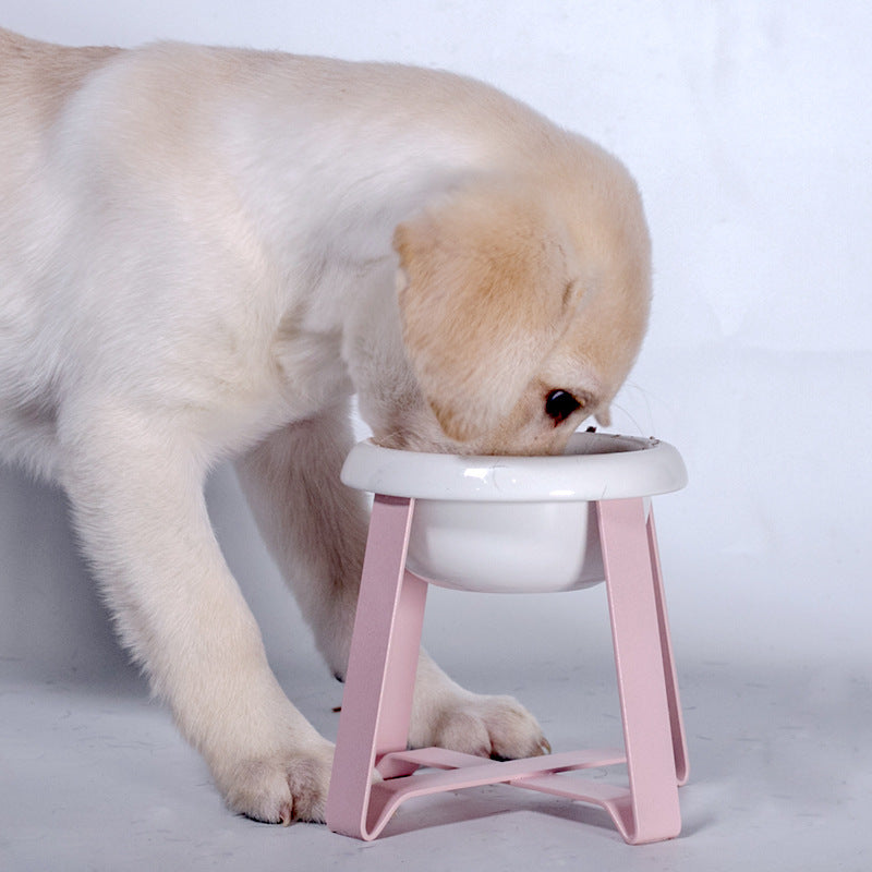 2-in-1 Elevated Pet Bowl Non-Slip Food and Water Feeder
