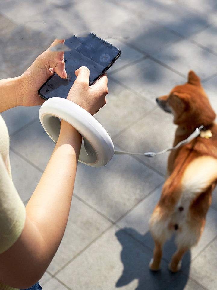 UFO Retractable Pet Leash for Small and Medium Pets