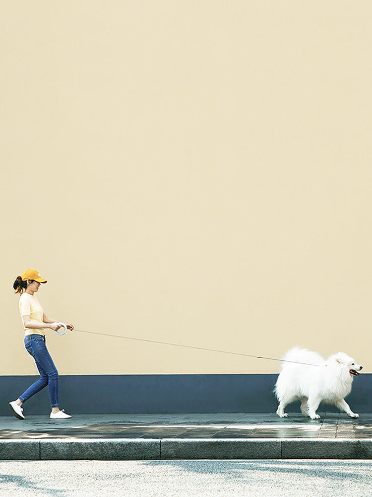 UFO Retractable Pet Leash for Small and Medium Pets