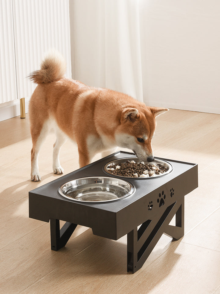 Foldable Stainless Steel Pet Bowl Durable Food and Water Dish