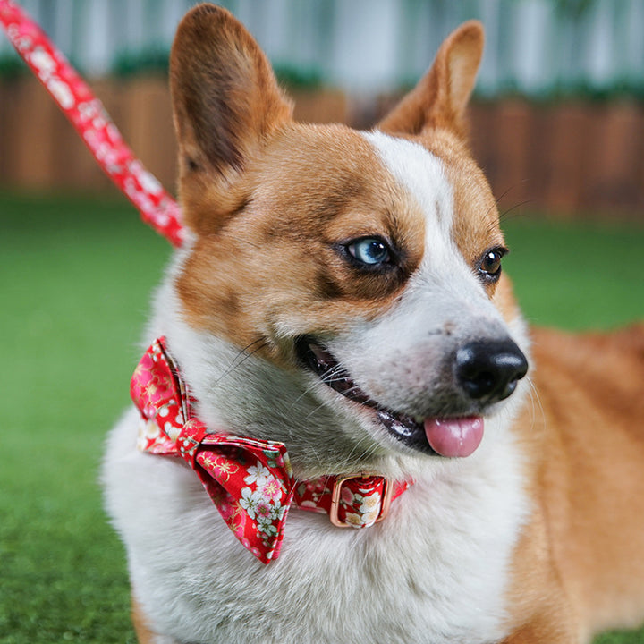 Red Floral Pet Pen And Leash Set