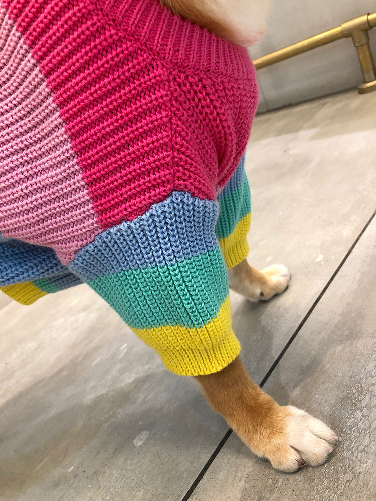 Rainbow-Colored Pet Sweater