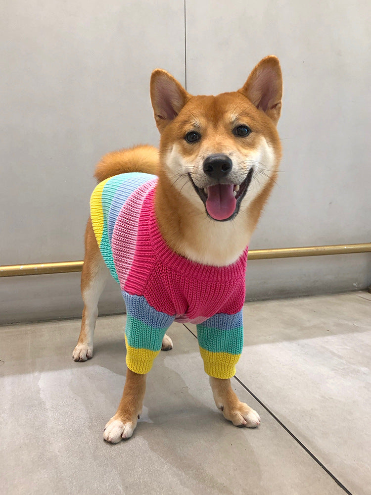 Rainbow-Colored Pet Sweater