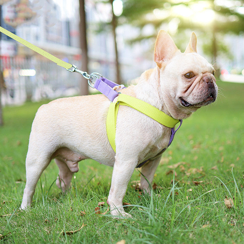 Colorful Pet Drawstring Vest-Style Leash
