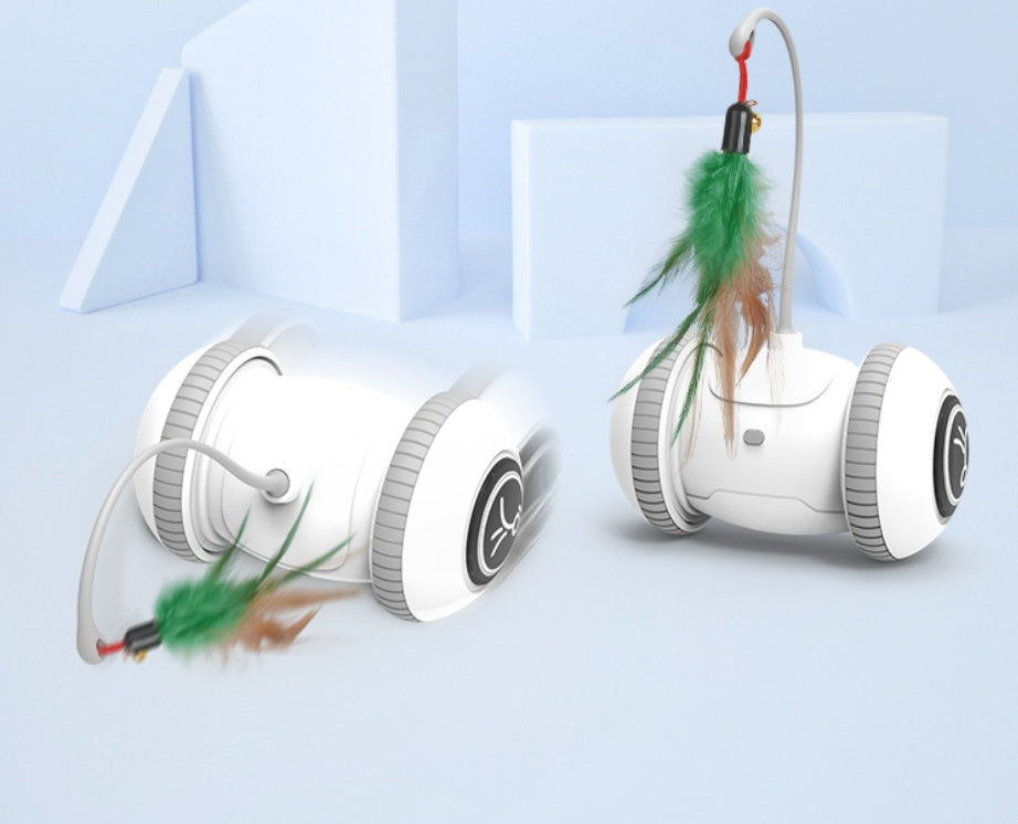Interactive Pet Toy With Interchangeable Feather Heads