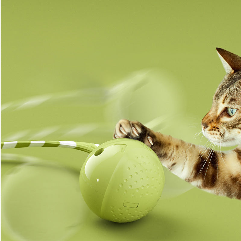 Interactive Electric Pet Ball Toy Motion-Activated Touch Sensor
