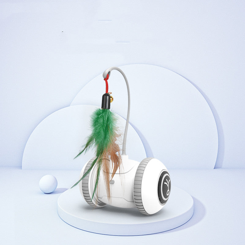 Interactive Pet Toy With Interchangeable Feather Heads