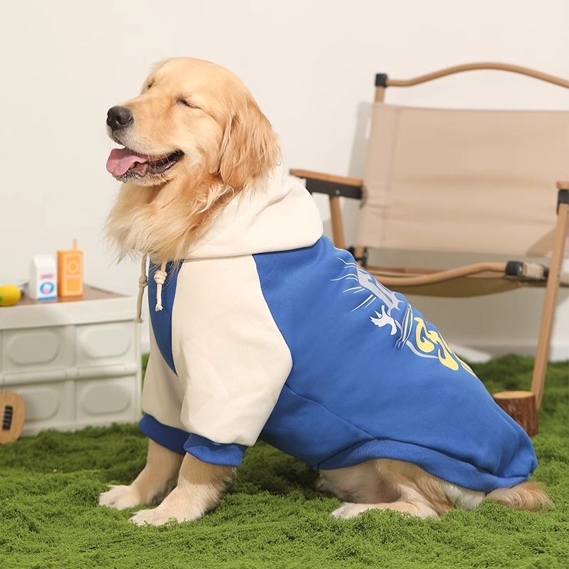 Large Pet Sweater for Border Collie