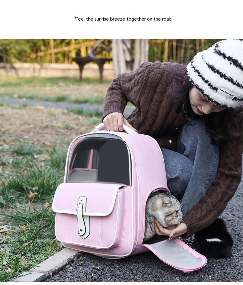 Stylish Portable Pet Backpack For Outings