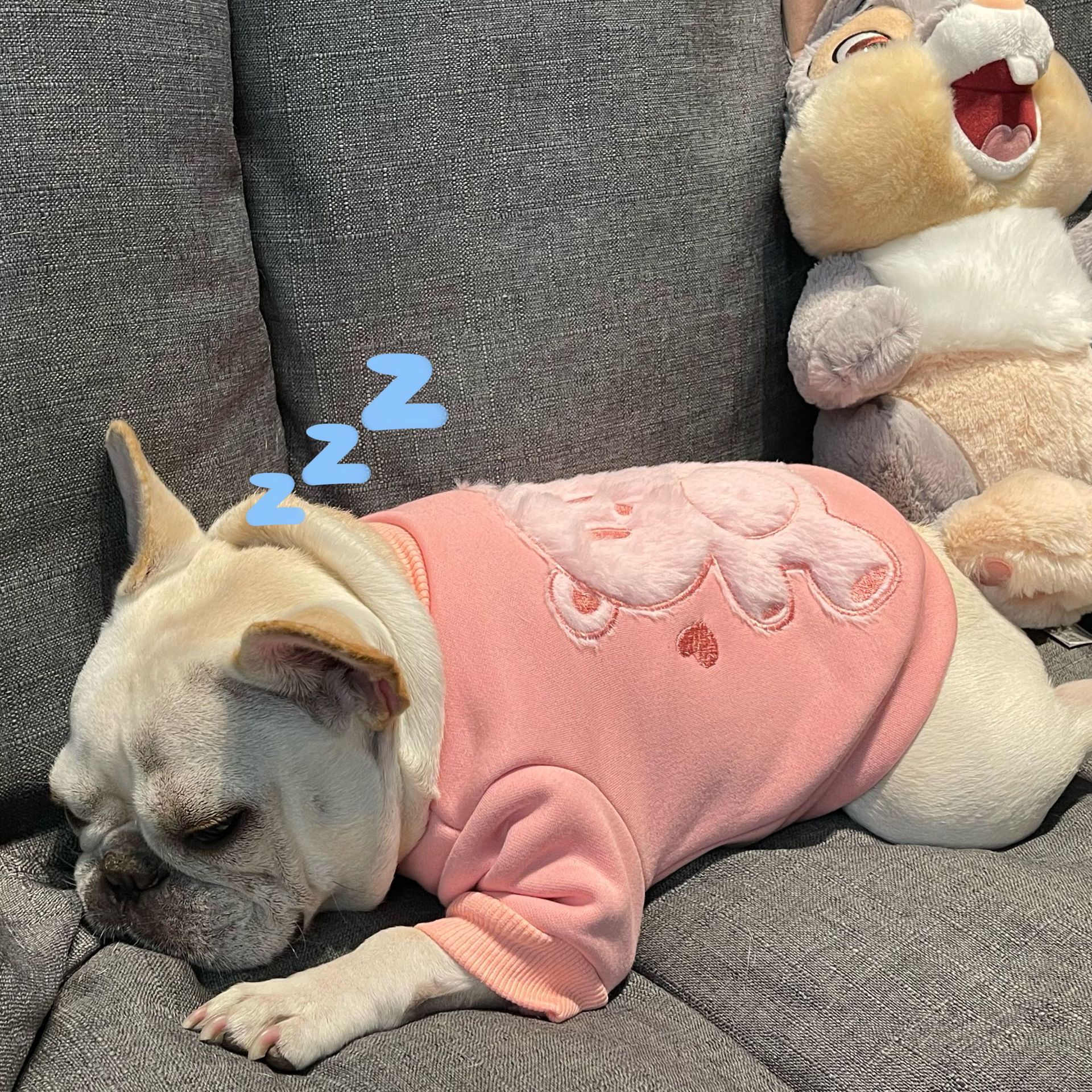 Plush Princess Style Pet Sweater
