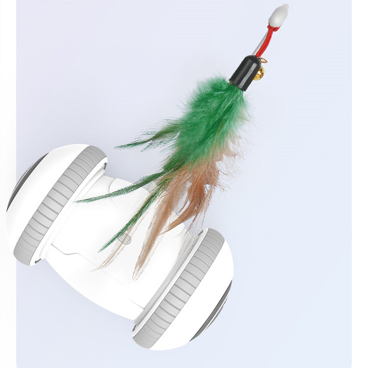 Interactive Pet Toy With Interchangeable Feather Heads