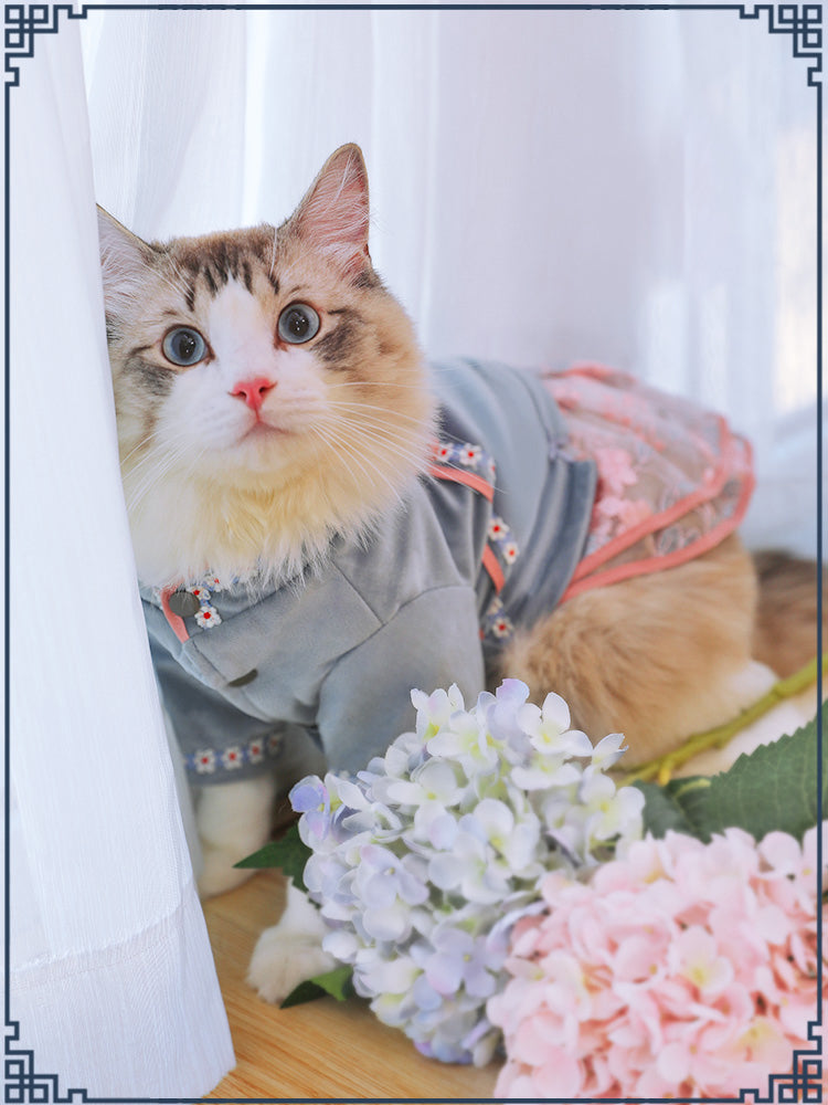 Pet Clothes Cute Fashionable Outfit Comfortable Stylish Wear