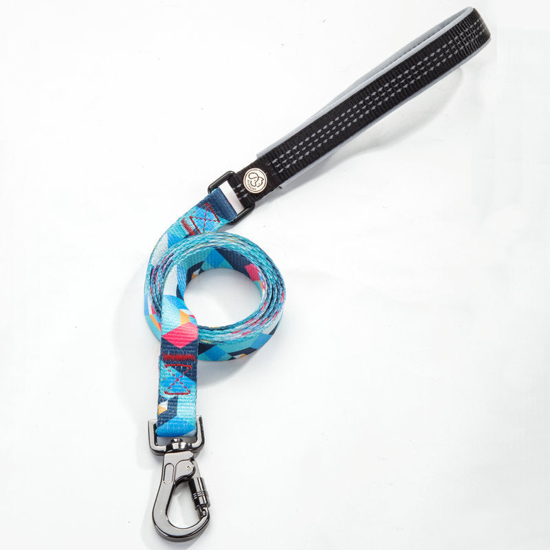 Durable Pet Leash for Walking and Training