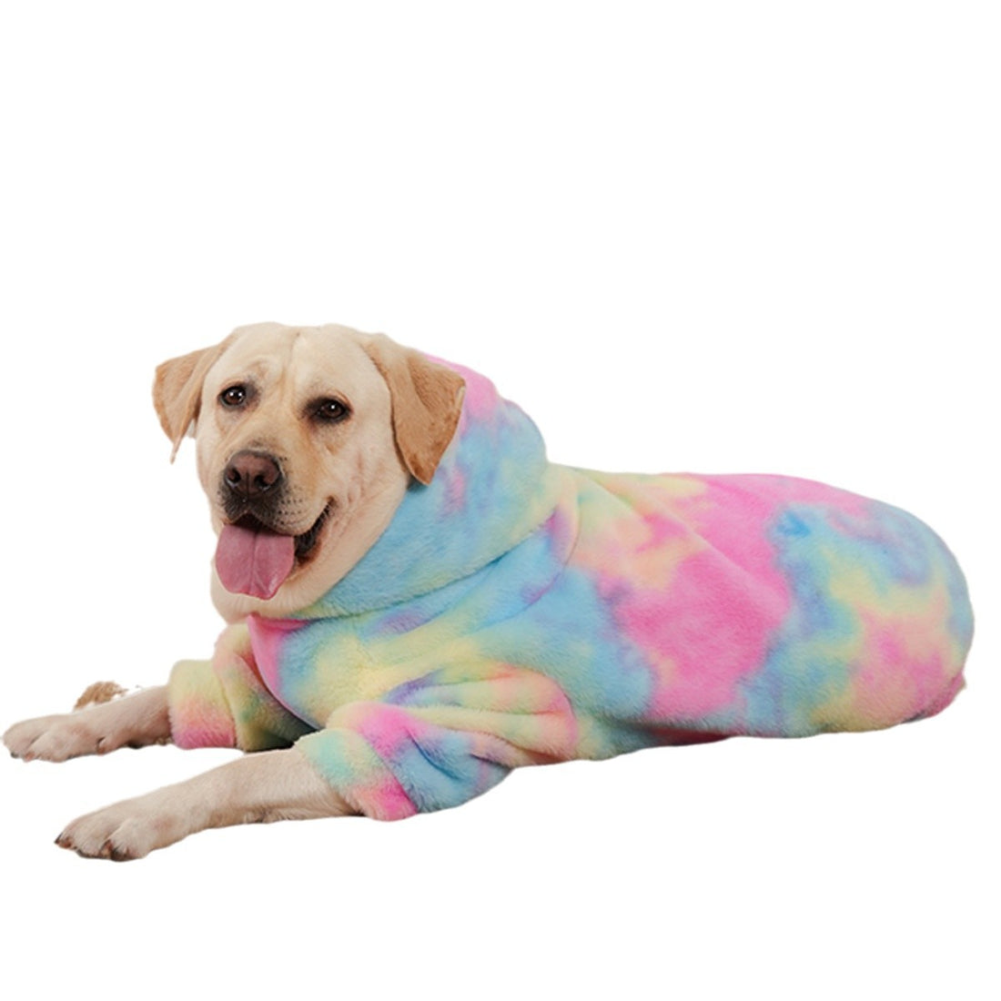 Tie-Dyed Rainbow Color Pet Pattern Sweater