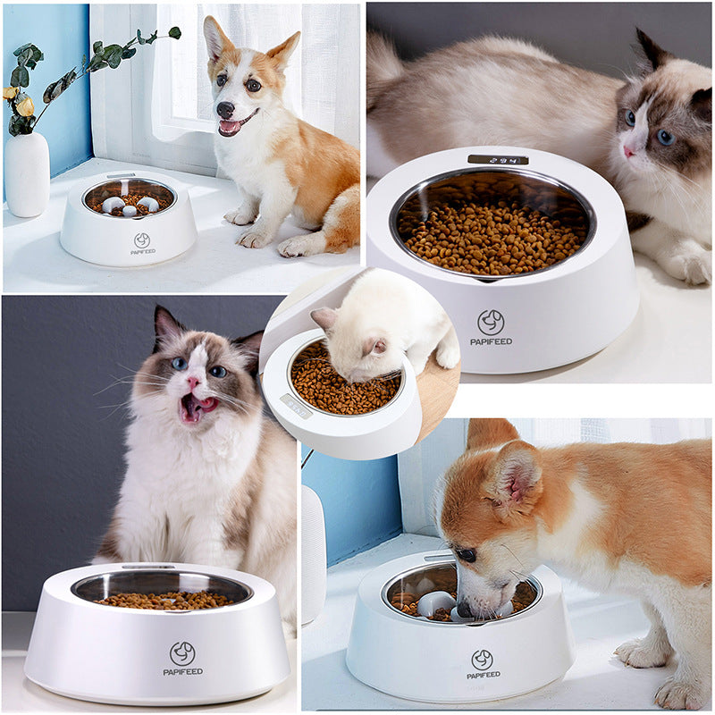 Smart Slow Feeding Pet Bowl with Weighing Function