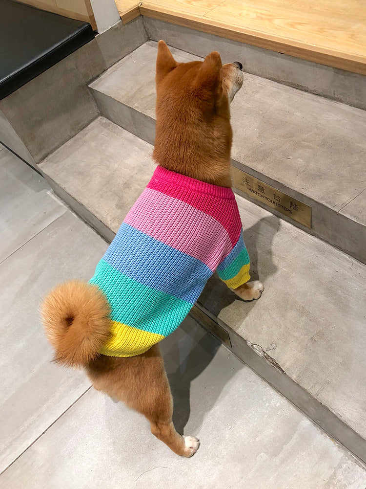 Rainbow-Colored Pet Sweater