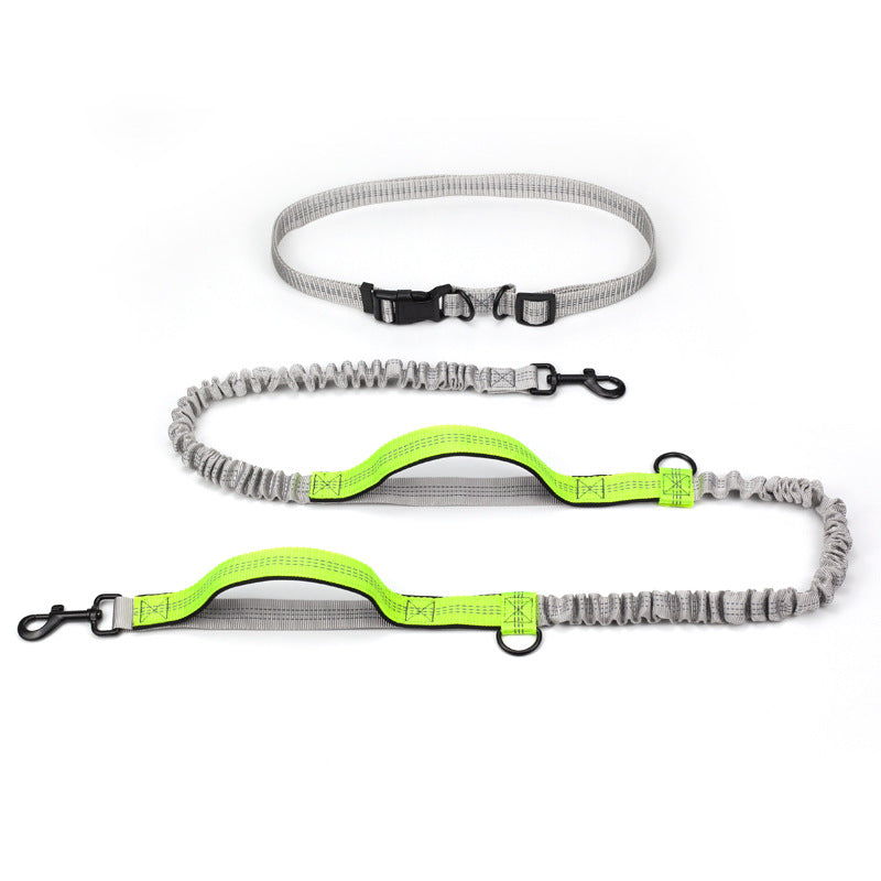 Outdoor Running Pet Leash