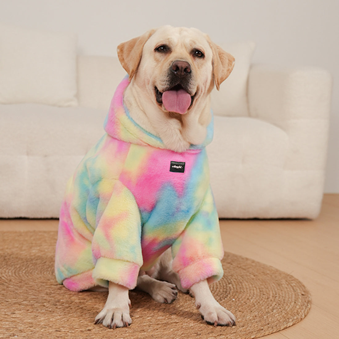 Tie-Dyed Rainbow Color Pet Pattern Sweater
