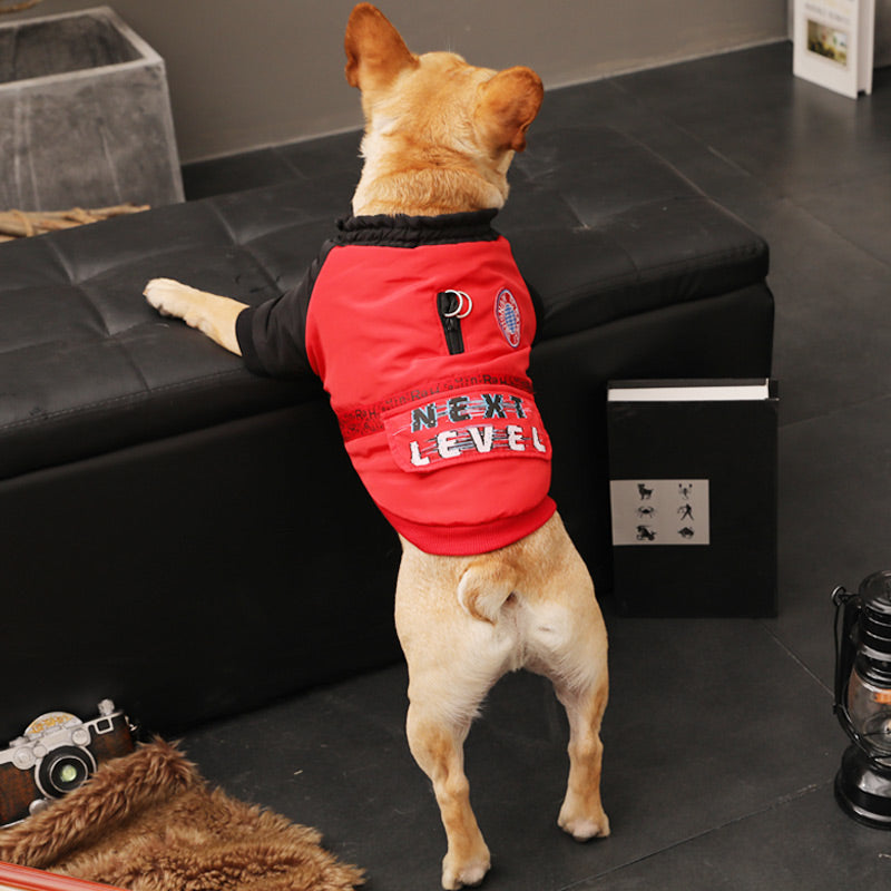 Autumn Winter Clothes For Small Puppies