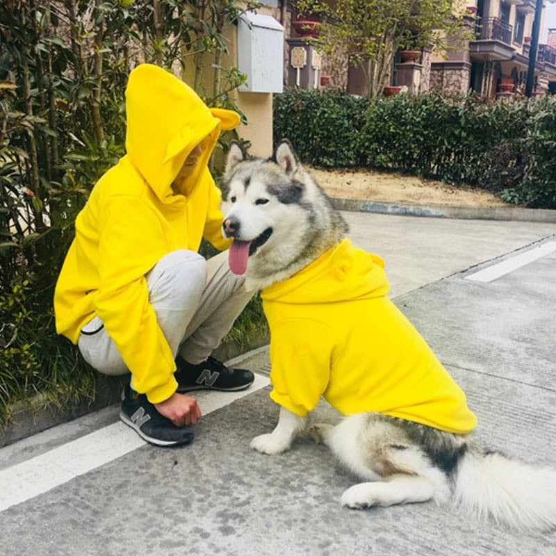 All-Season Pet Sweater