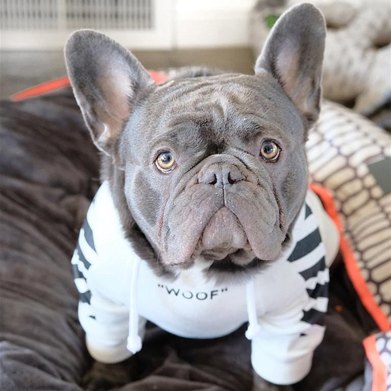 Autumn Winter Three-Stripe Pet Sports Sweater