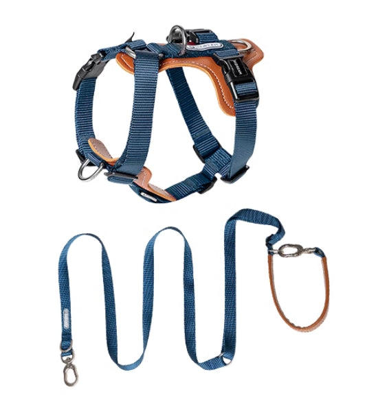 Multifunctional Explosion-Proof Pet Rope Leash With Chest Strap