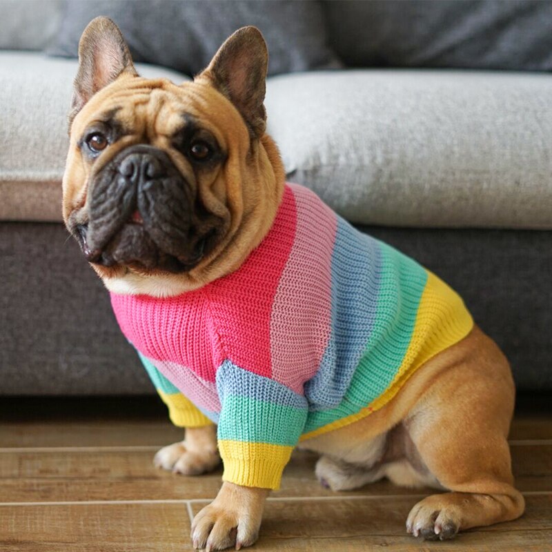 Rainbow-Colored Pet Sweater