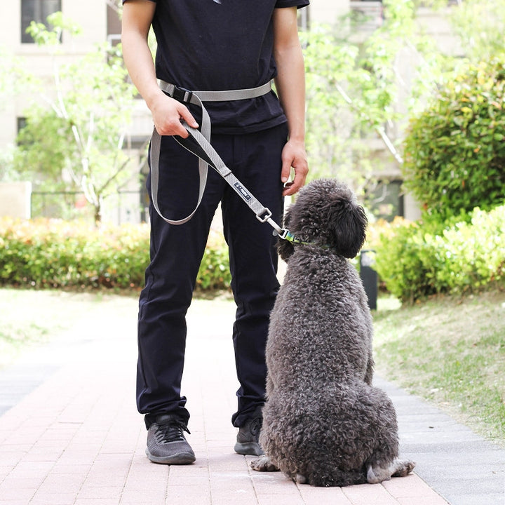 Multi-Functional Traction Running Pet Leash