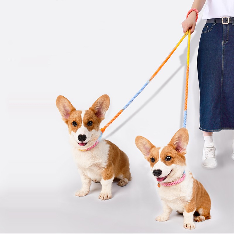Multi-Functional Dual-Head Pet Leash